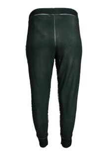 sh1603395r-verde2