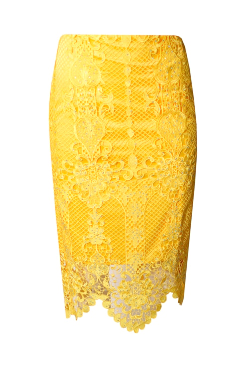 Saia midi bordados