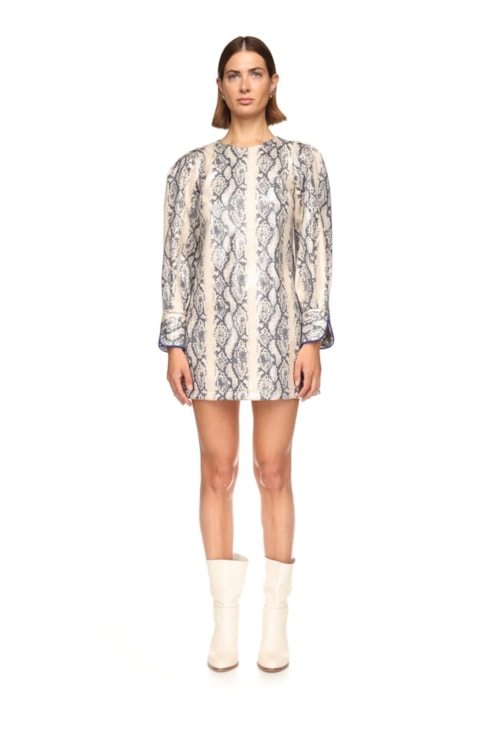 Animal print mini dress